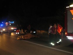Incidente_Mare_Monti_4