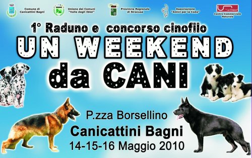 loca_cani