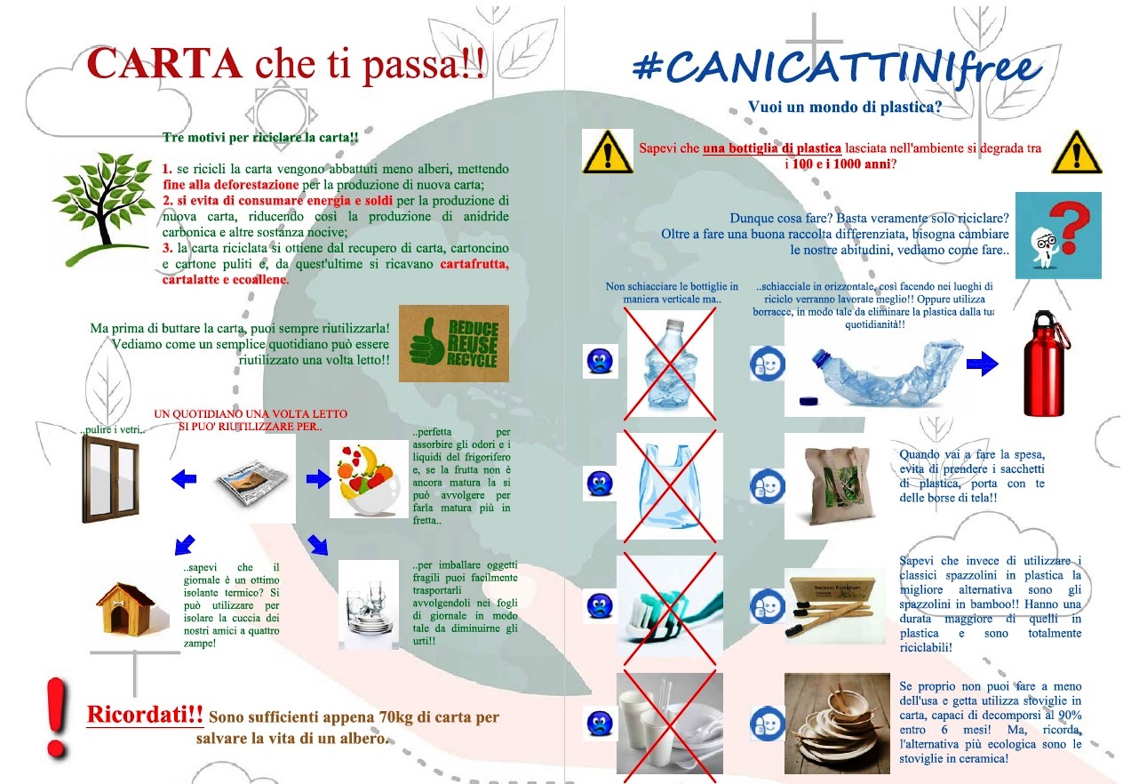 brochure2