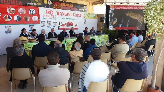 3Fiera Regionale Agro Zootecnica Canicattini - Forum1
